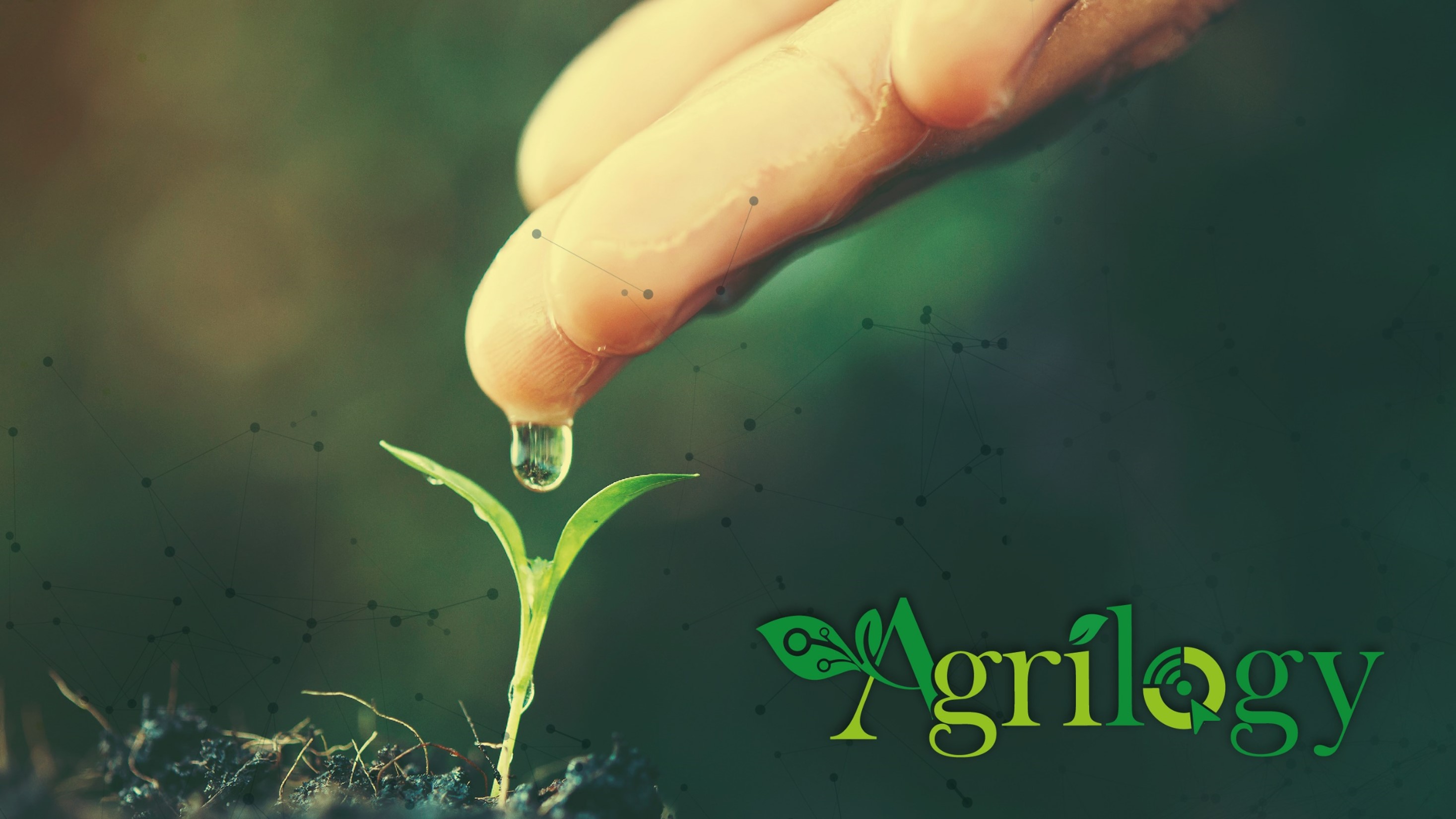 Agricultural landscape